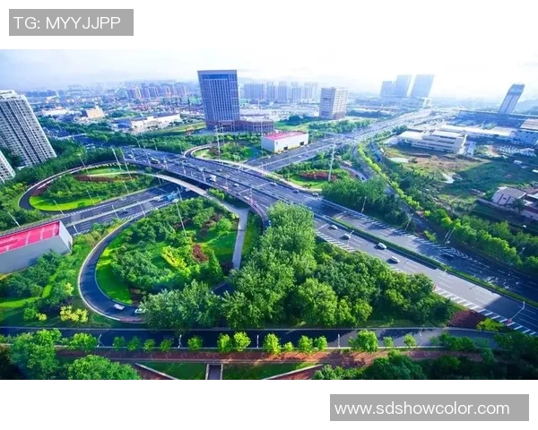 叶力江助力深圳新鹏城崛起展现城市发展新机遇与活力