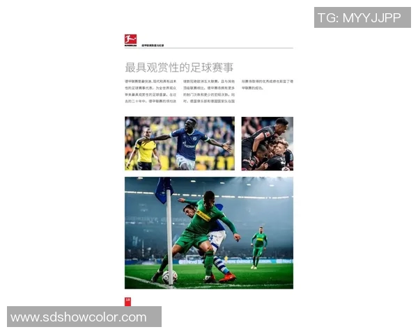 球队信息整理与分析全面指南助你了解各大球队动态与历史表现