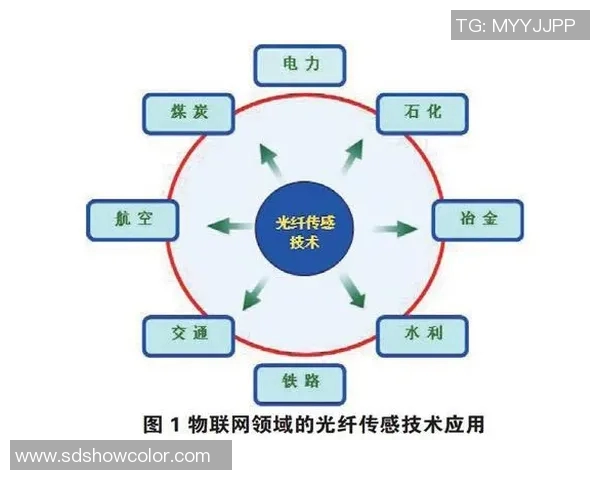 主场作战优势的深度解析与影响因素探讨