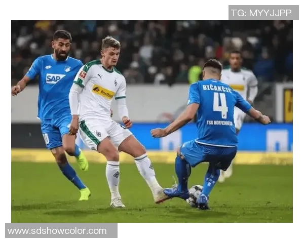 霍芬海姆新赛季德甲首战失利，防线遭遇考验